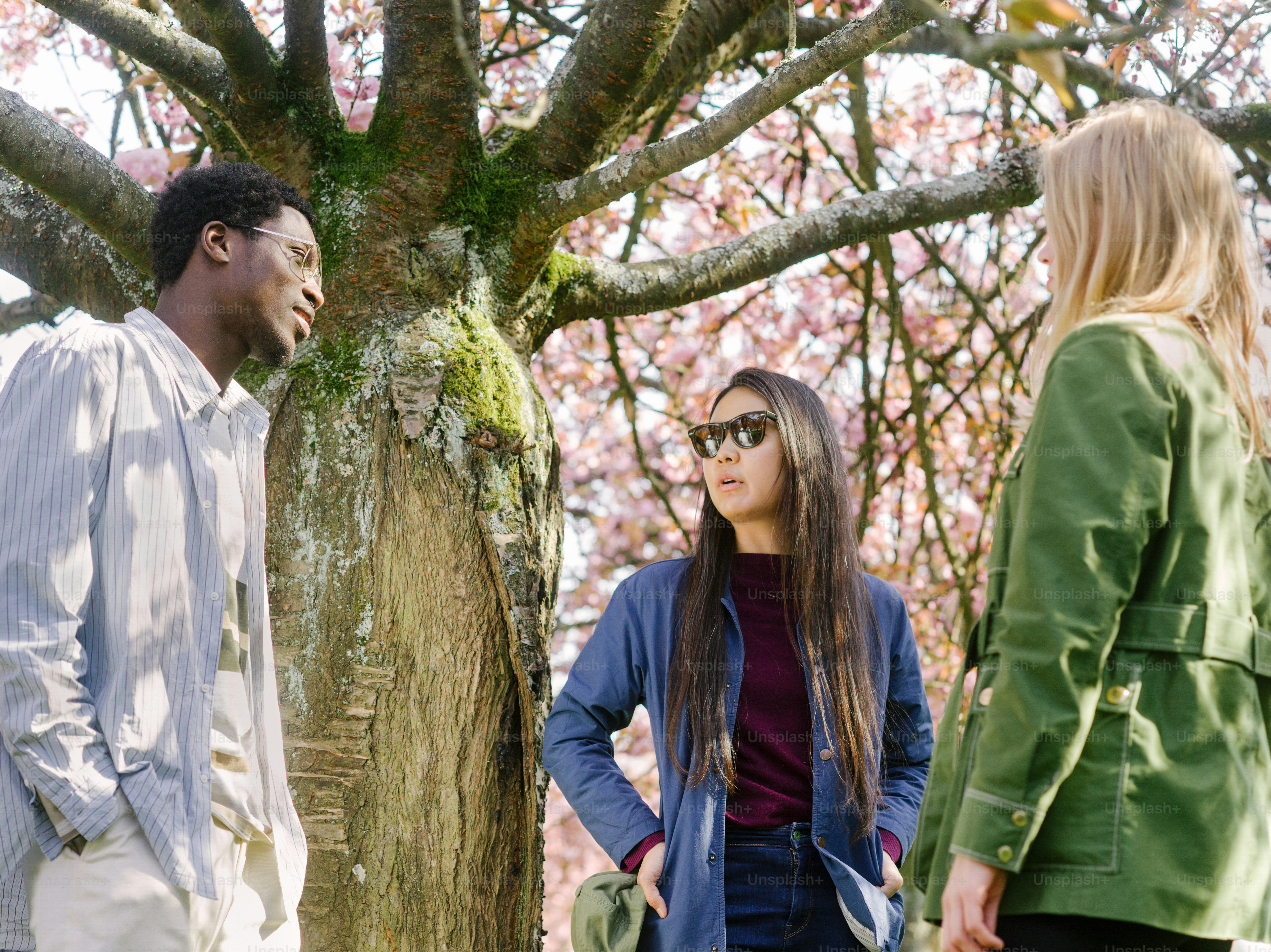 a group of people standing around a tree