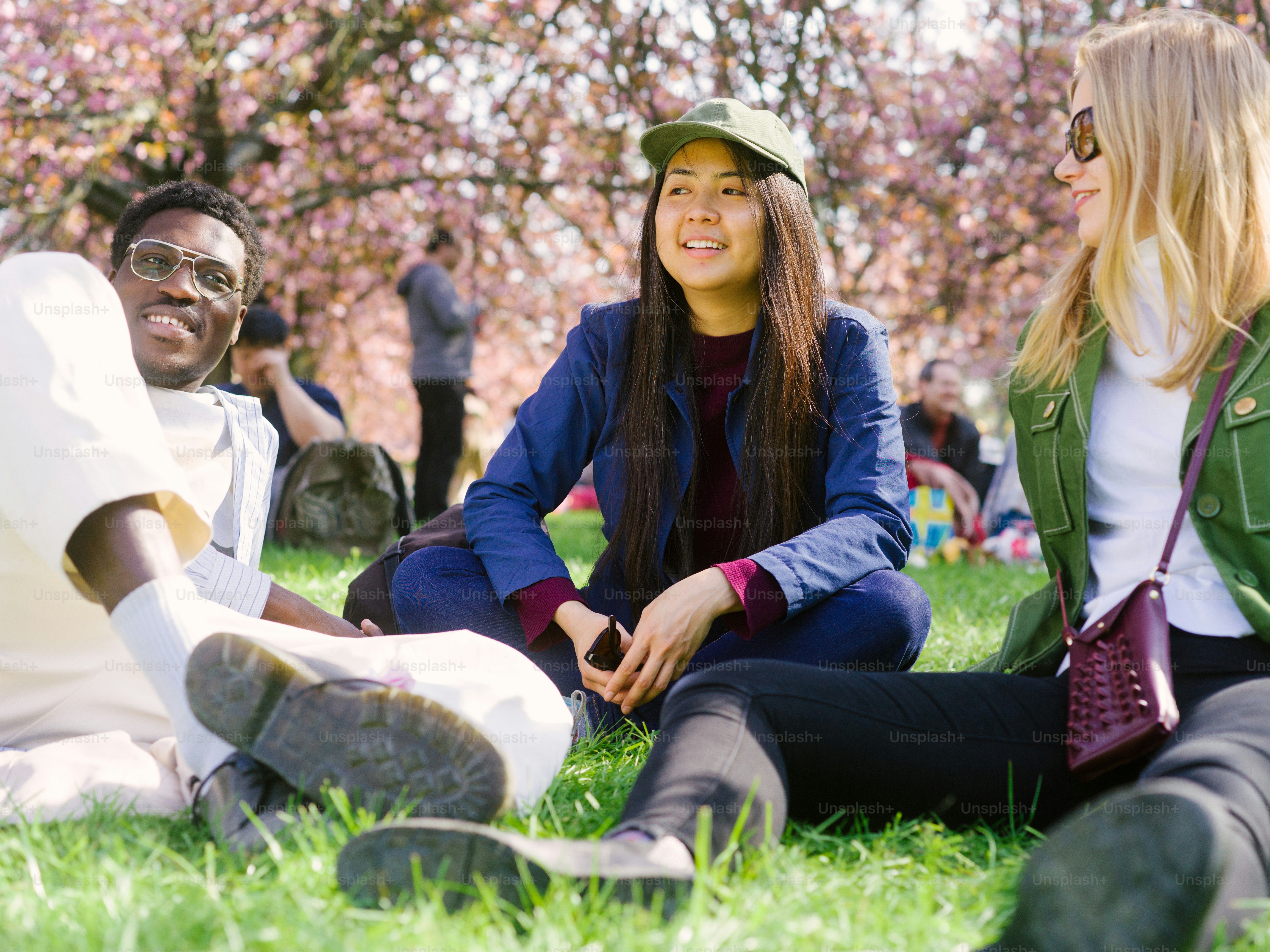 a group of young people sitting on the grass