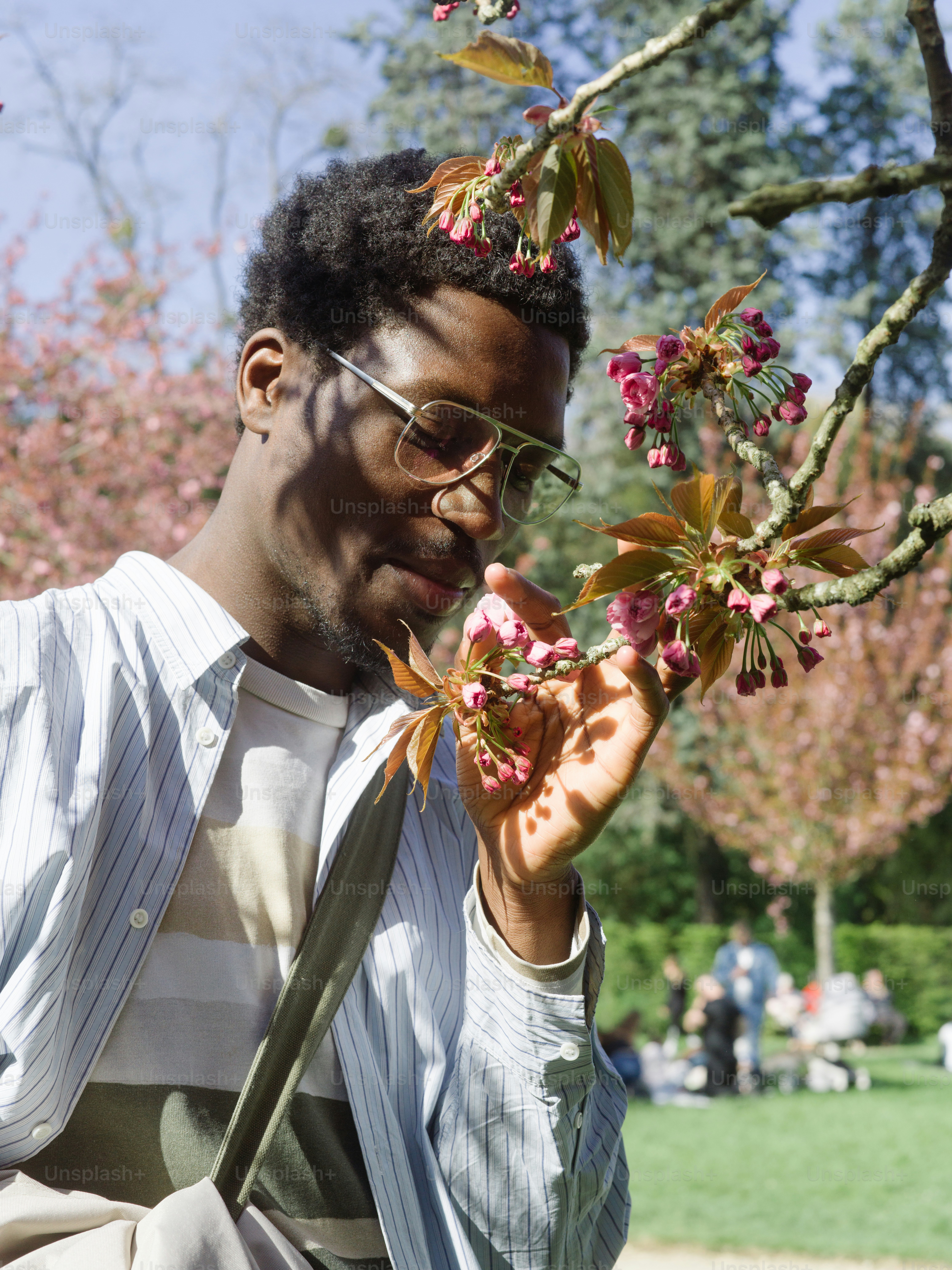 a man in a striped shirt holding a branch with pink flowers