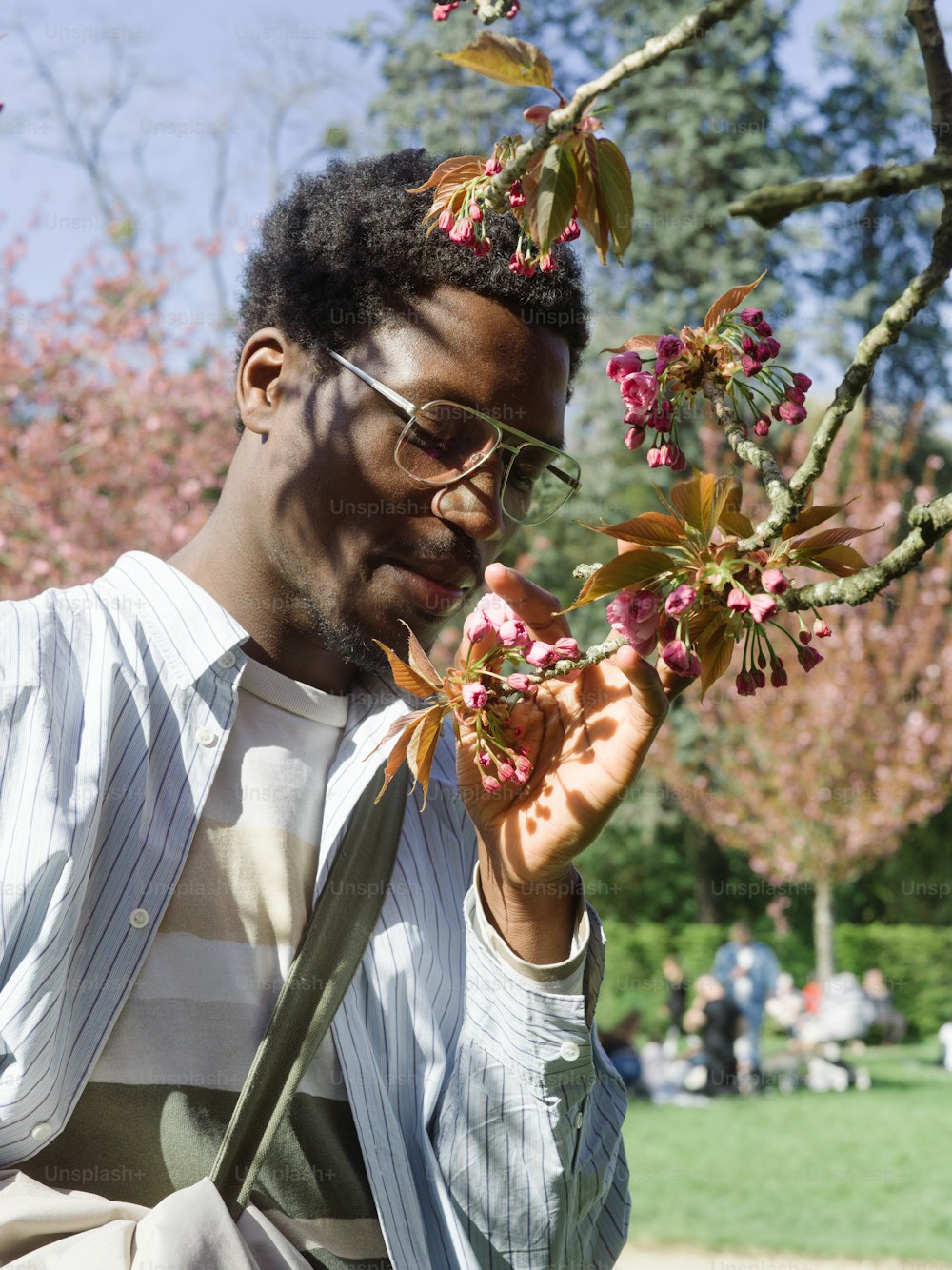 a man in a striped shirt holding a branch with pink flowers