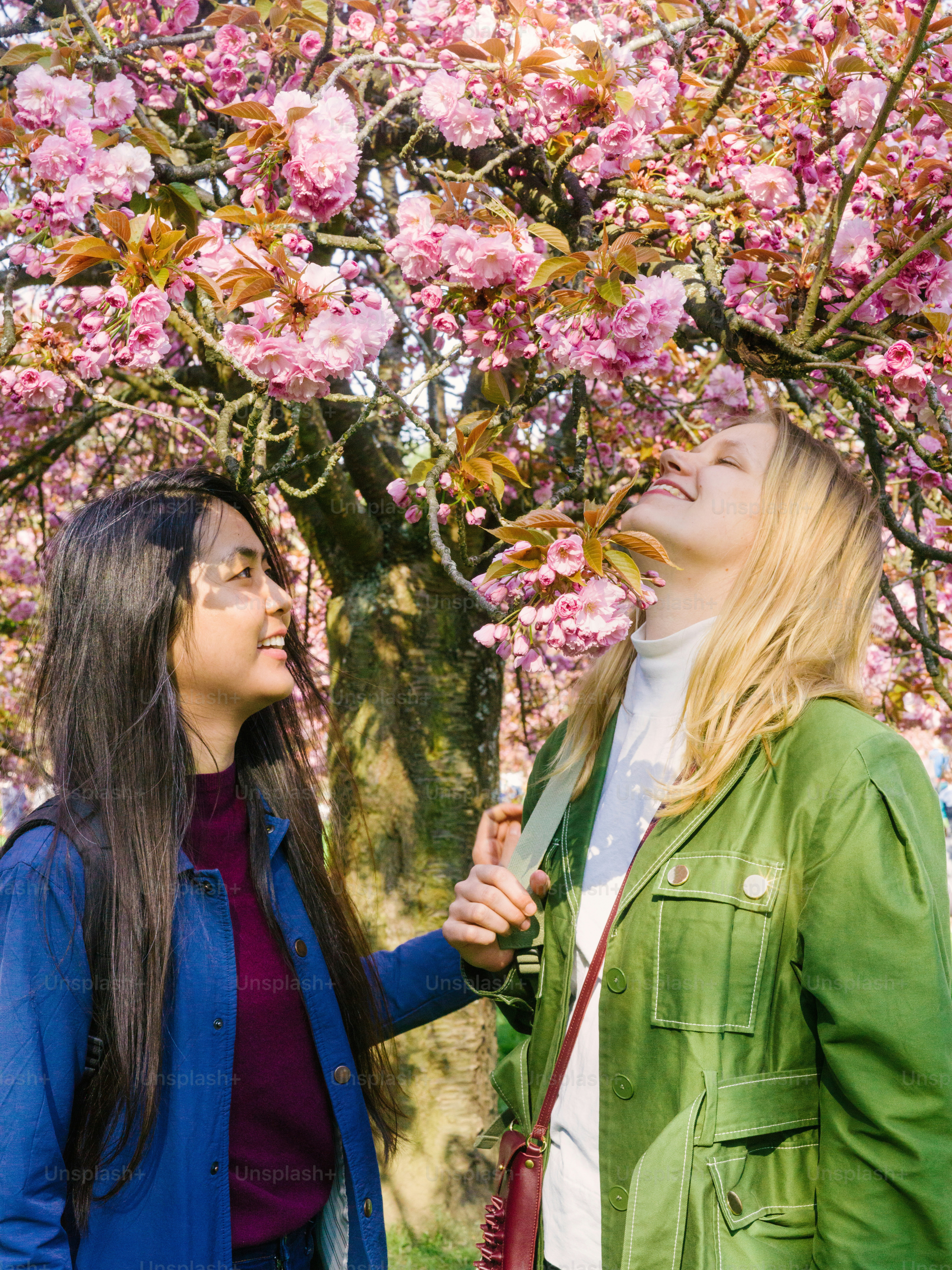 two women standing in front of a tree with pink flowers