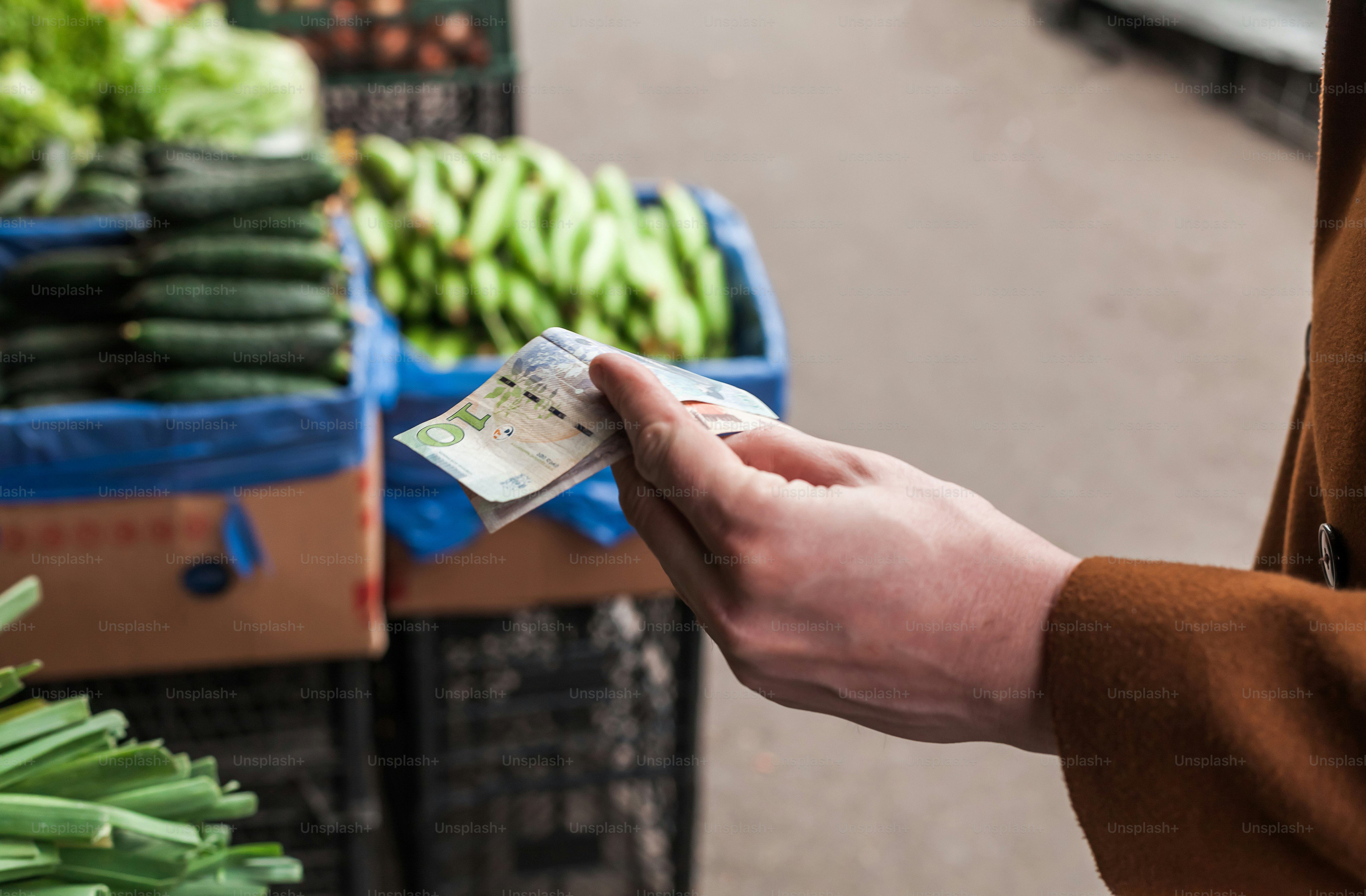 a person holding a piece of paper in their hand