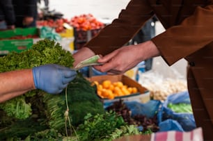 a person in a brown coat and blue gloves is handing a carrot to another person