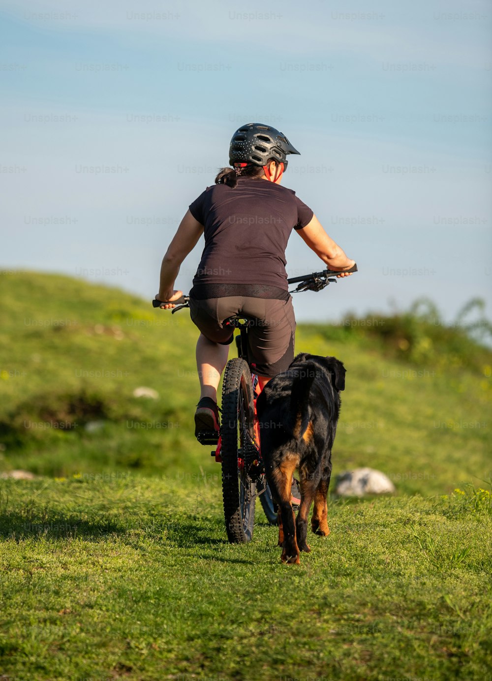 eine Person, die mit einem Hund an der Leine Fahrrad fährt