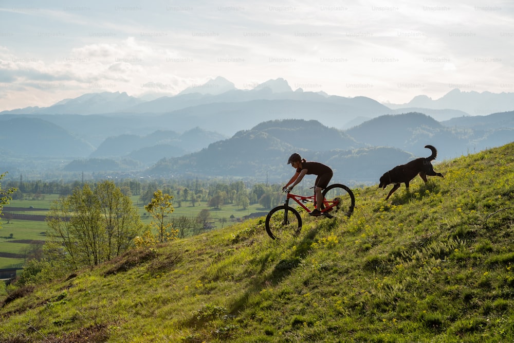 무성한 녹색 언덕에서 개 옆에서 자전거를 타는 남자