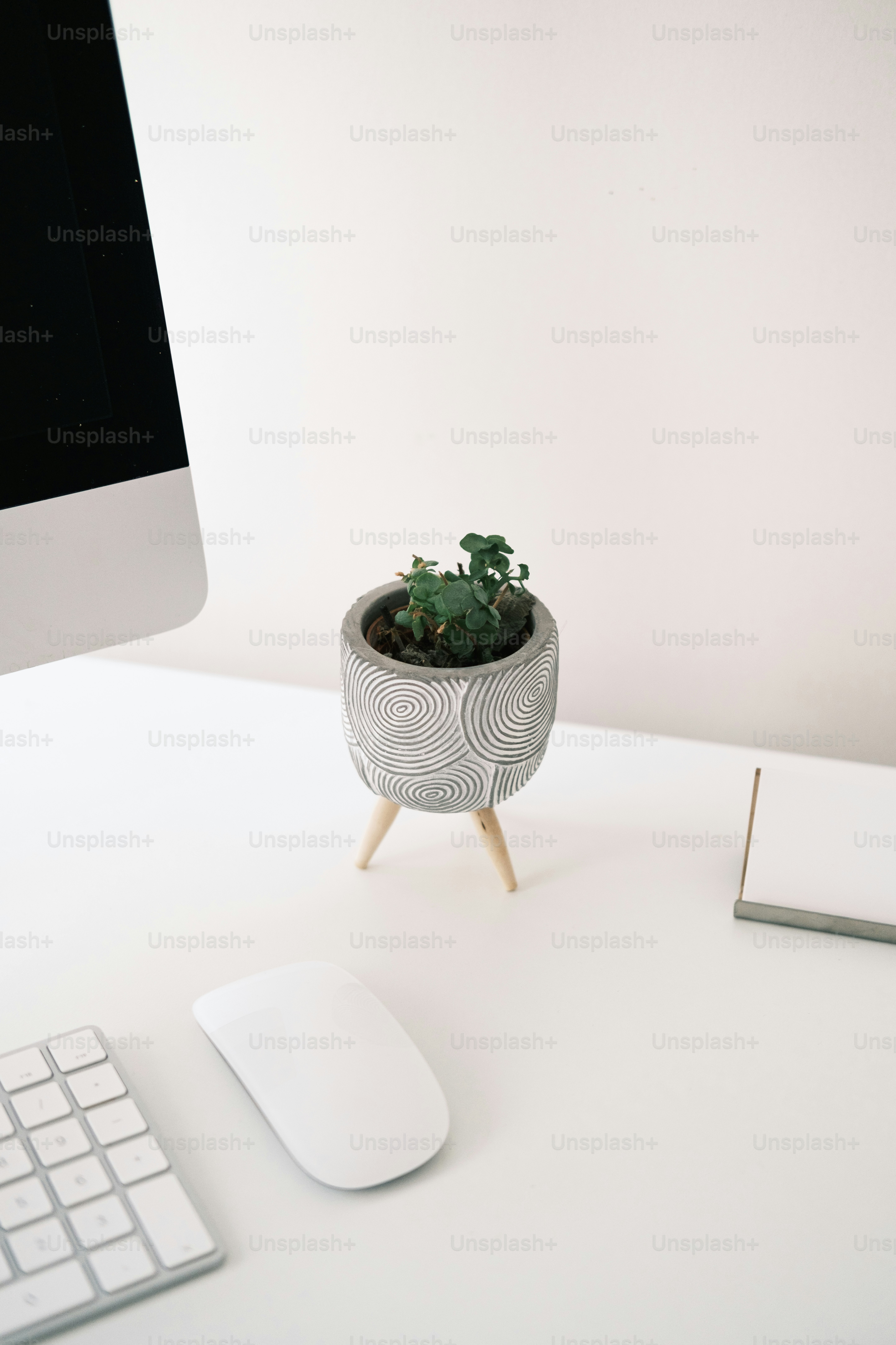 a desk with a computer, keyboard, mouse and a potted plant