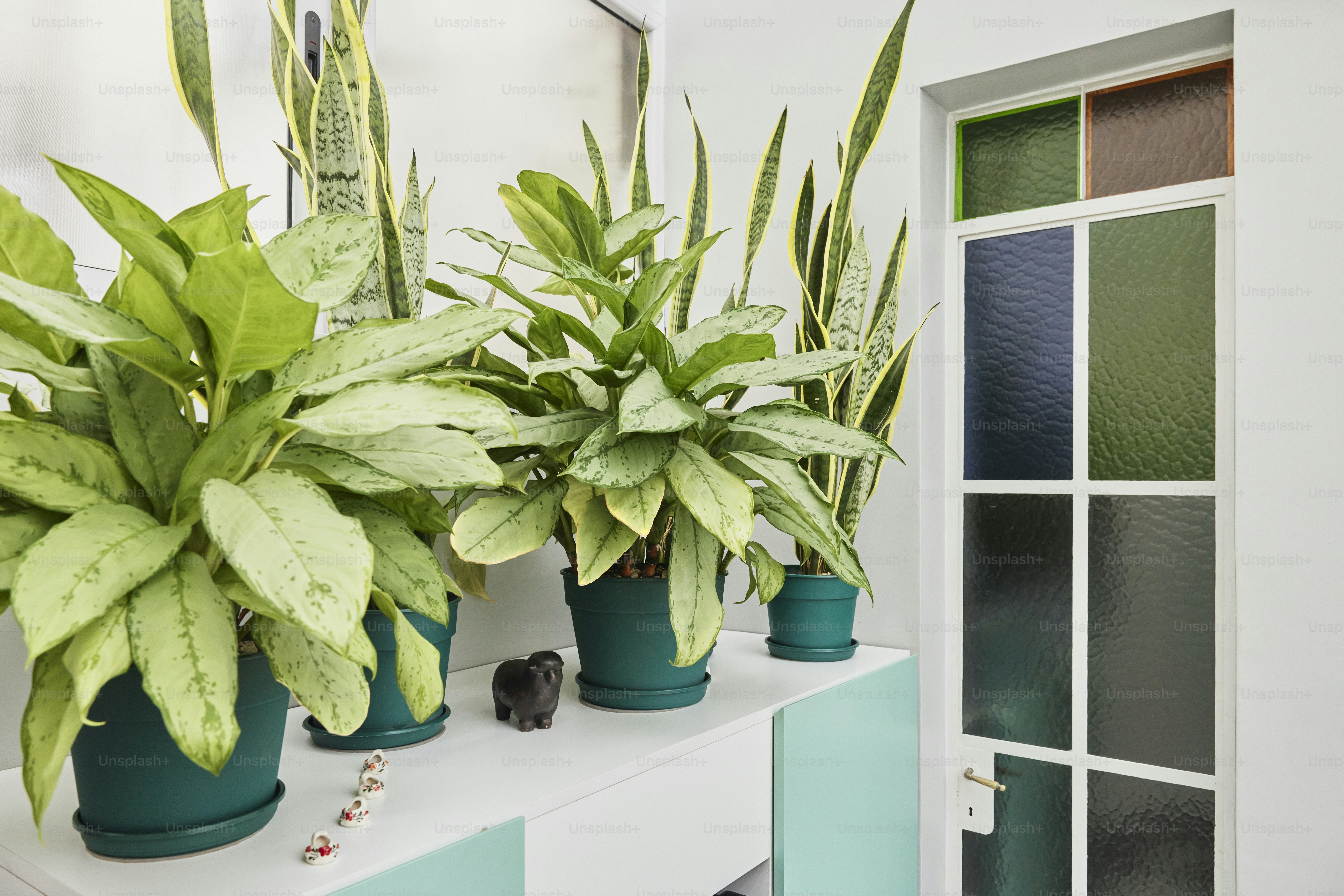 a couple of potted plants sitting on top of a white table