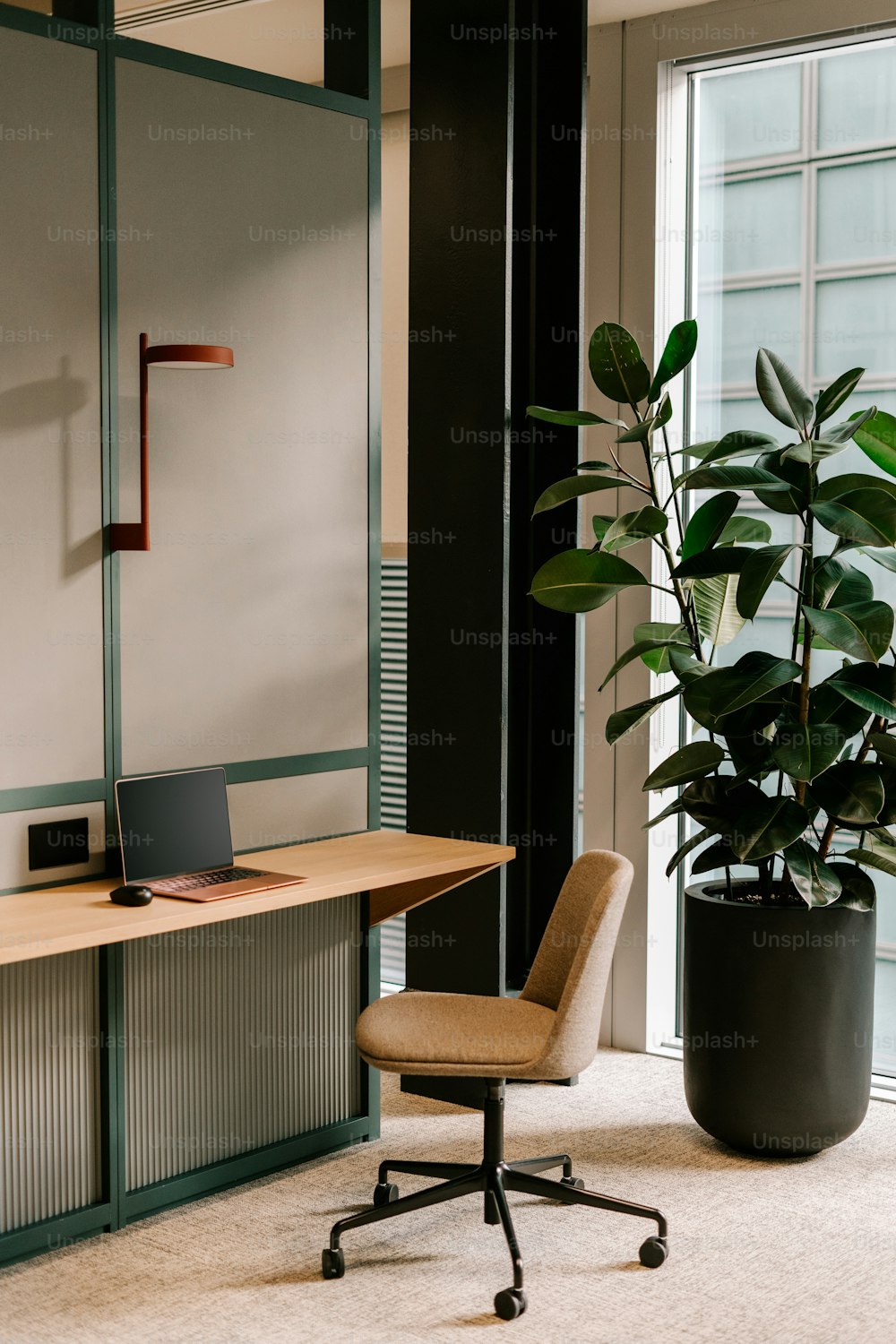 a chair sitting next to a plant in a room