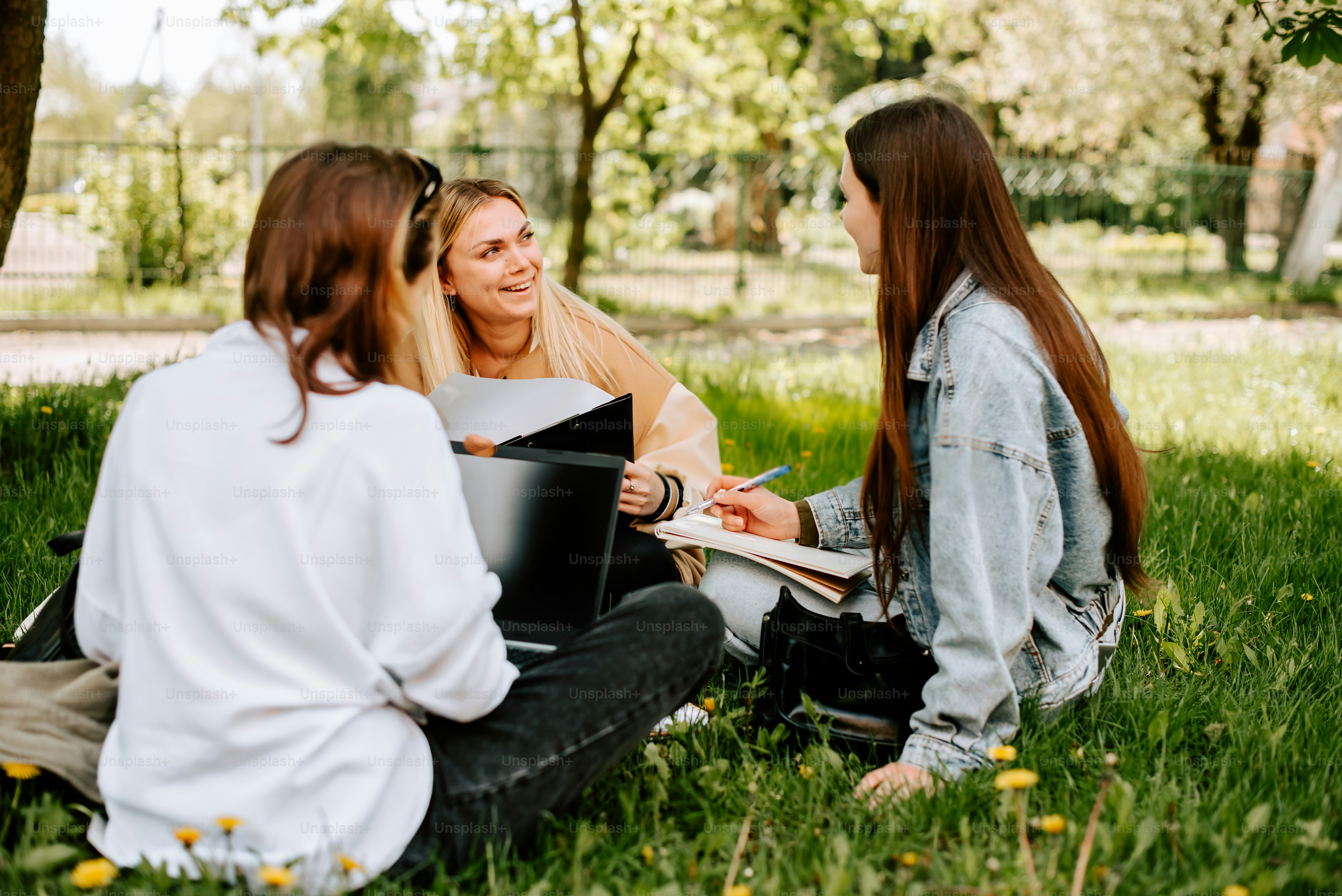 緑豊かな野原の上に座る女性のグループ