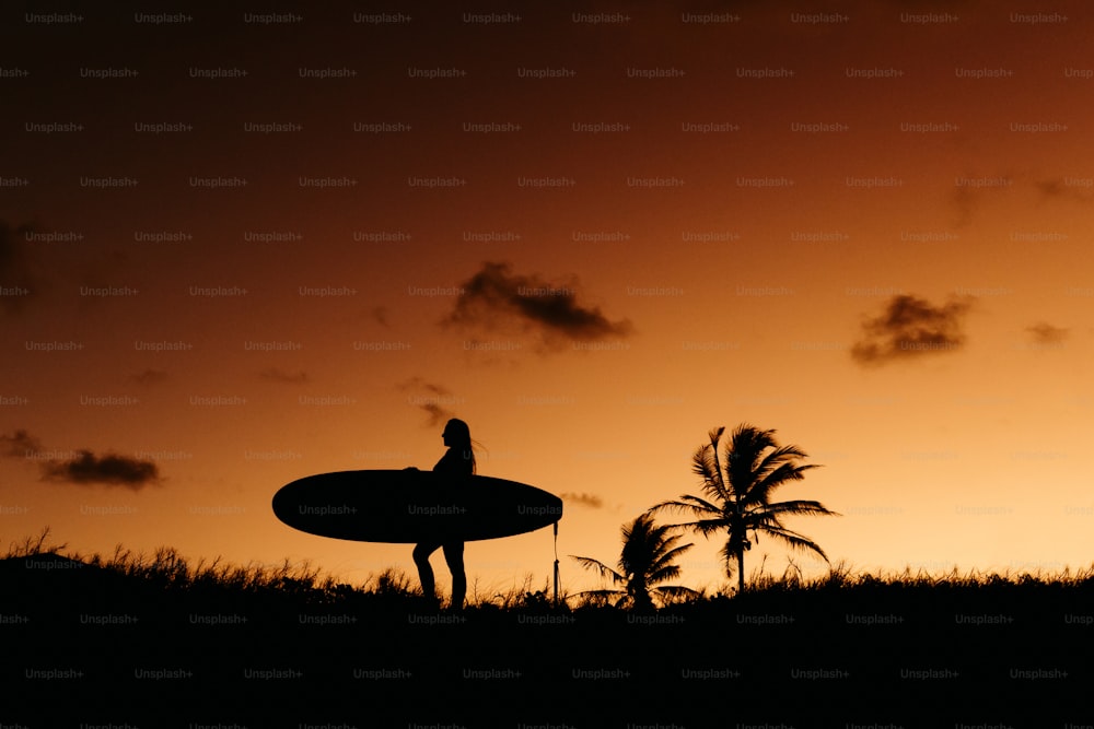 uma silhueta de uma pessoa segurando uma prancha de surf