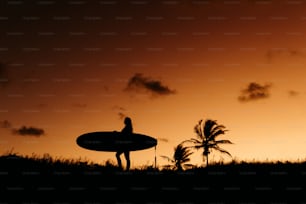 a silhouette of a person holding a surfboard