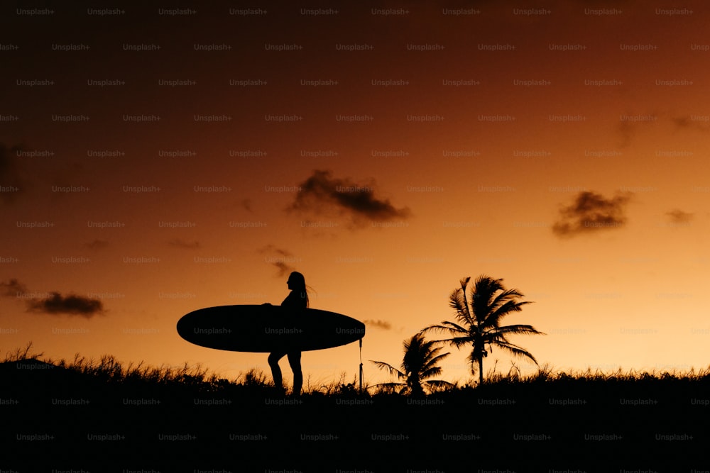 a silhouette of a person holding a surfboard