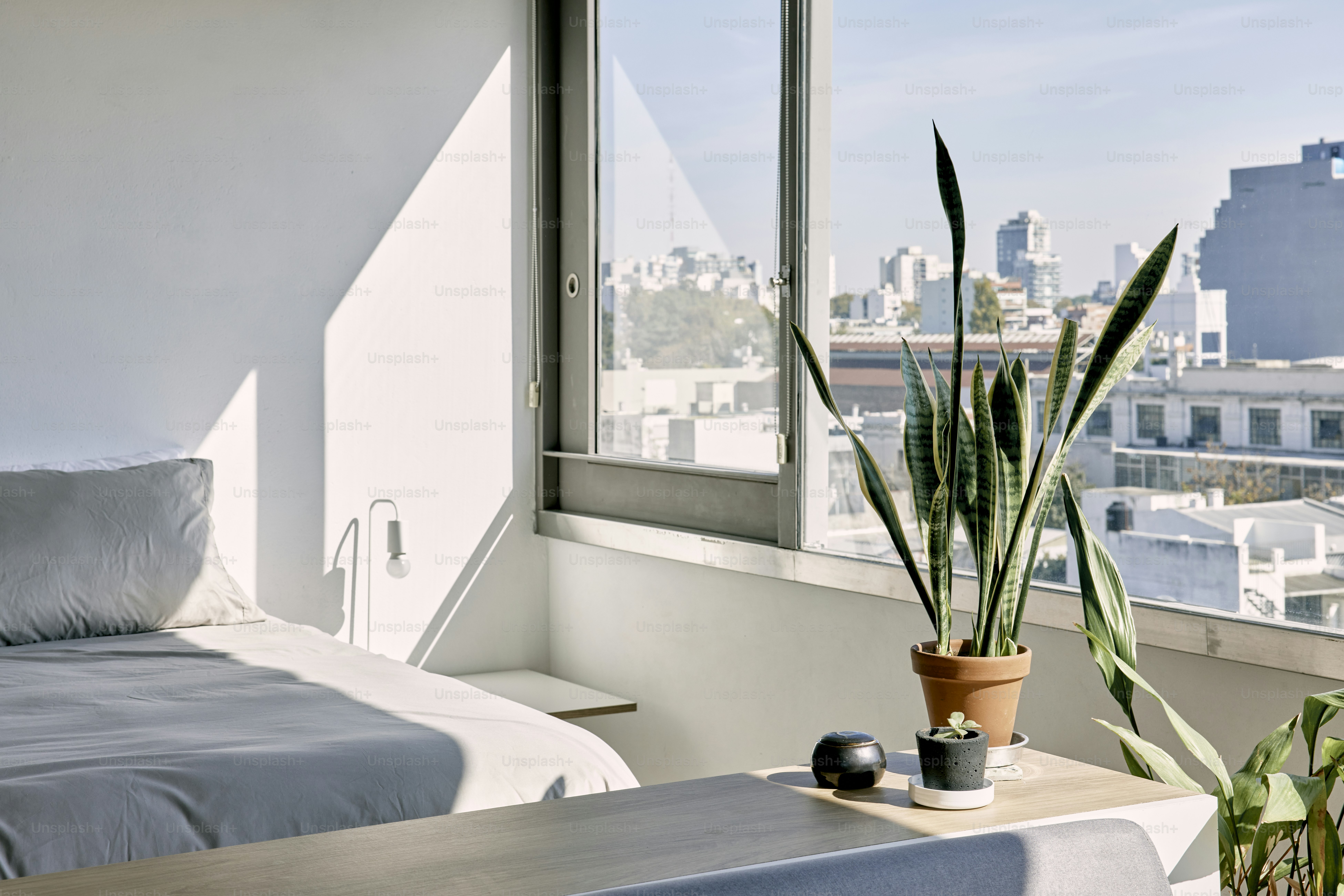 Traditional home windows