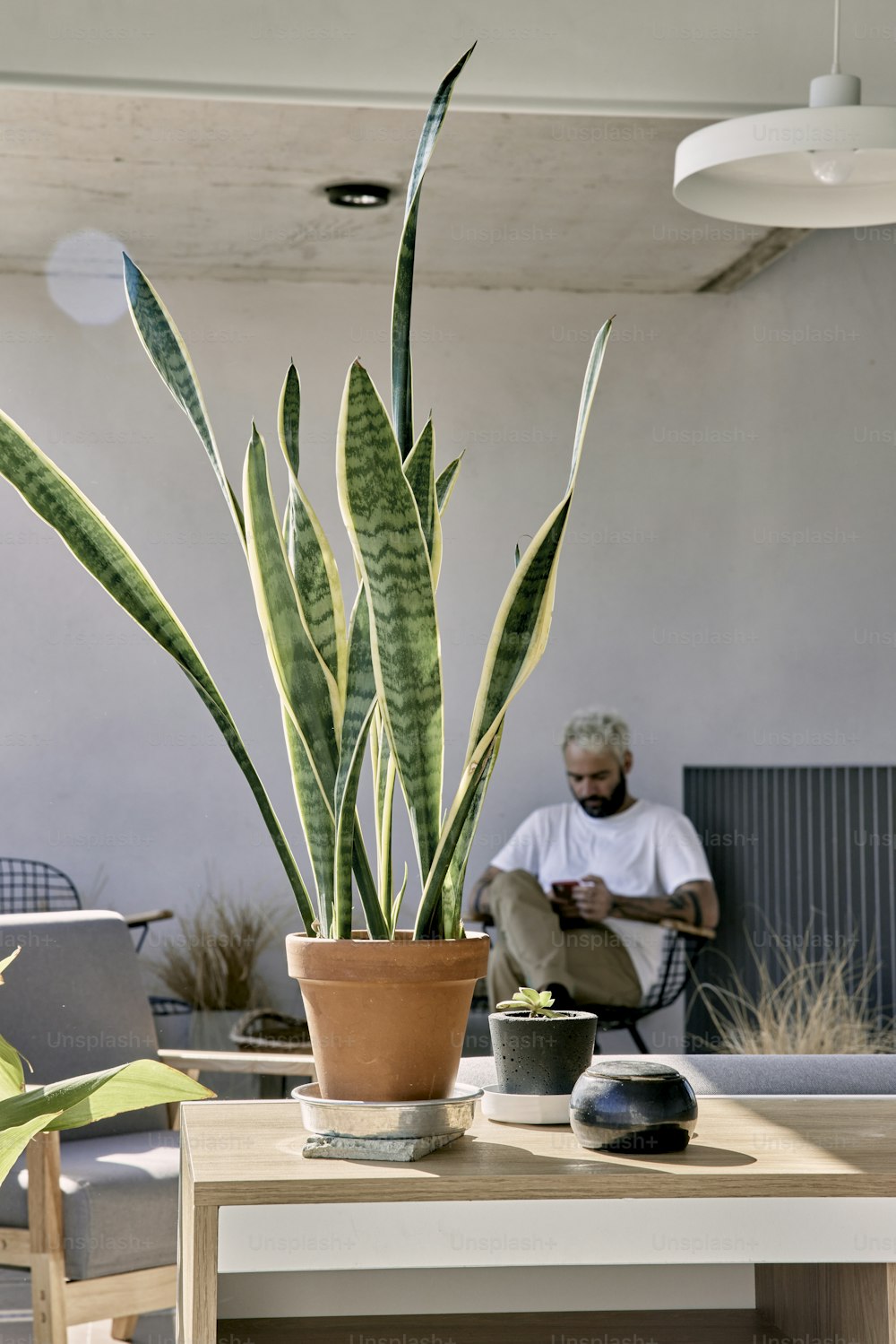 a man sitting in a chair next to a potted plant