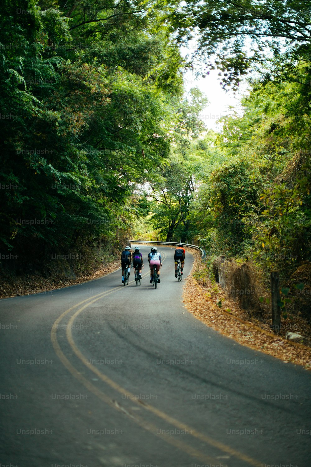 a group of people riding bikes down a curvy road