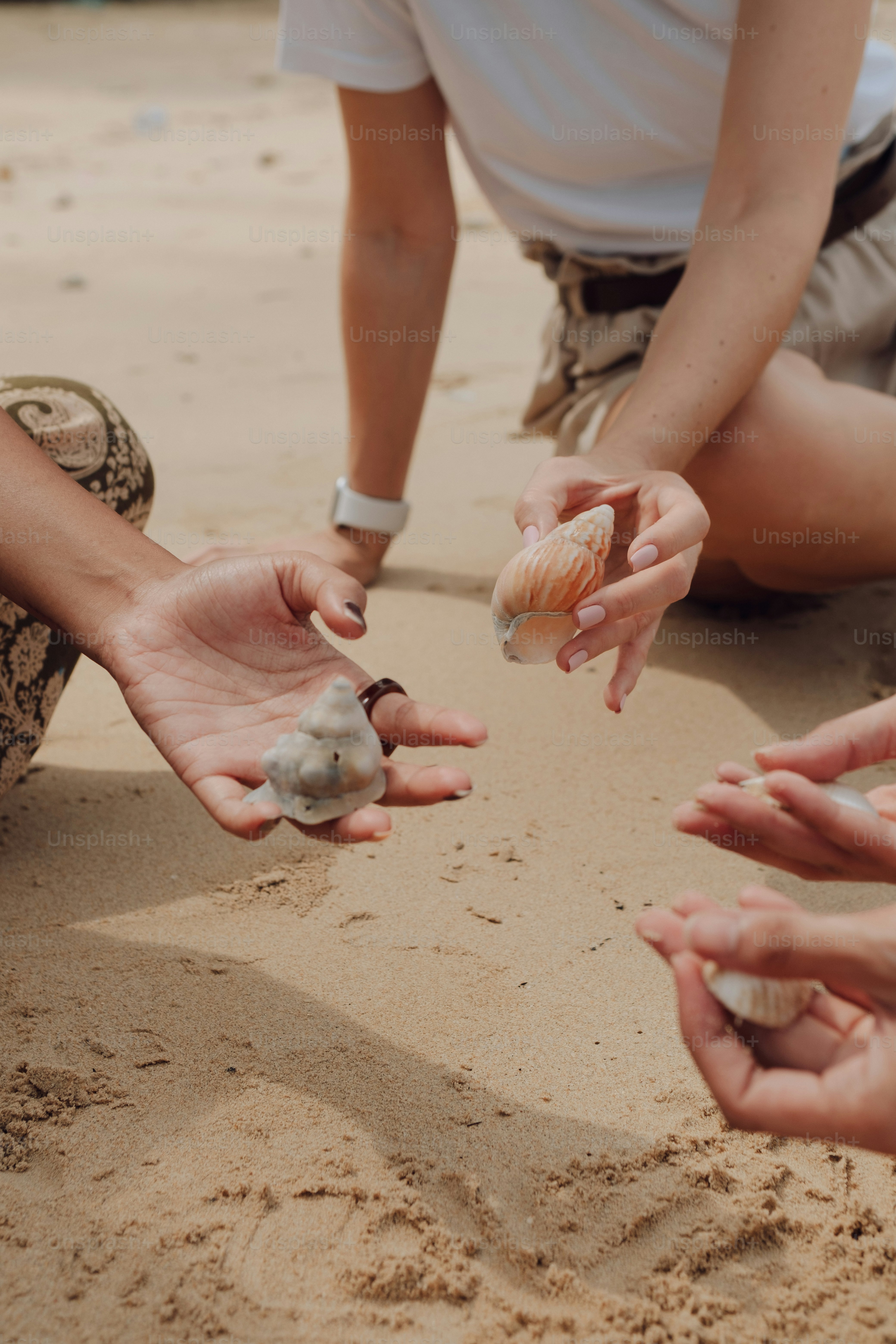 a group of people sitting on top of a sandy beach