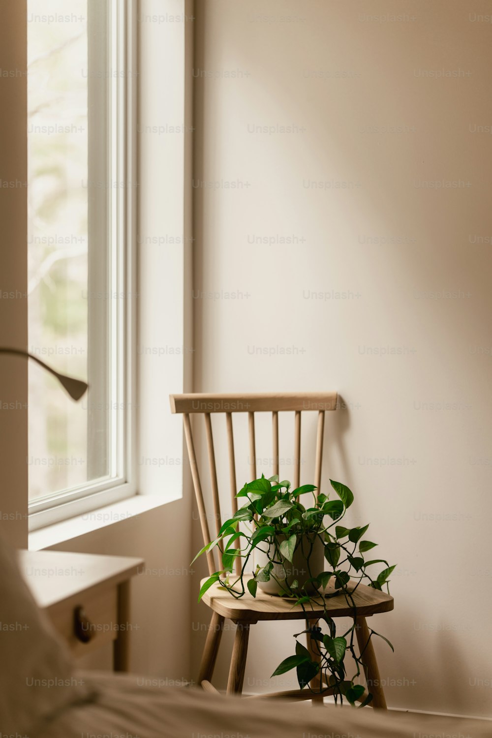 une chaise avec une plante en pot assise dessus