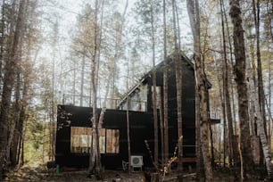 Una cabaña en el bosque rodeada de árboles altos