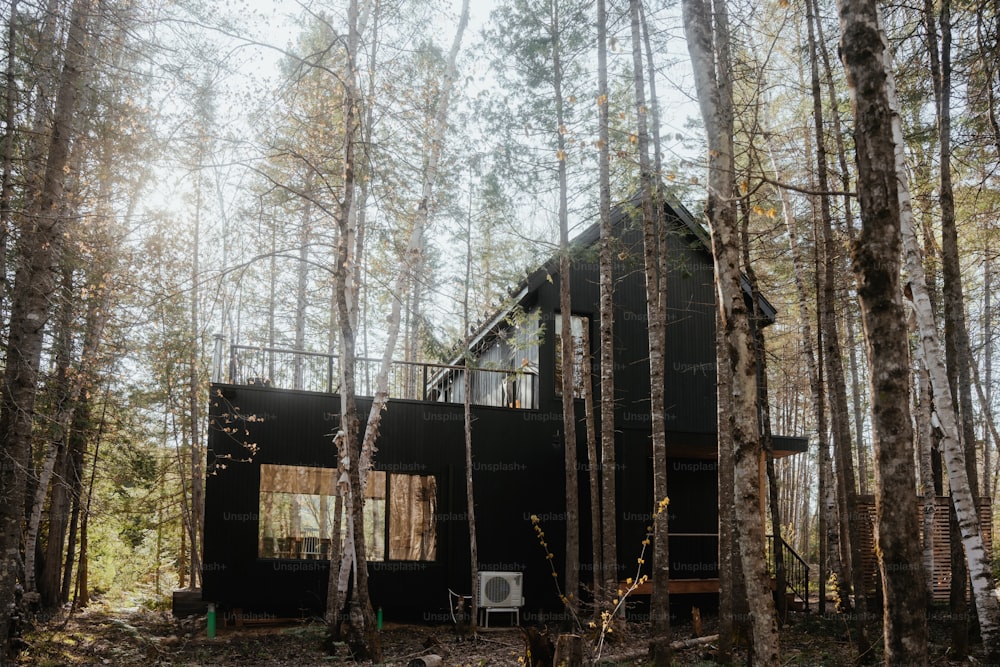 a cabin in the woods surrounded by tall trees