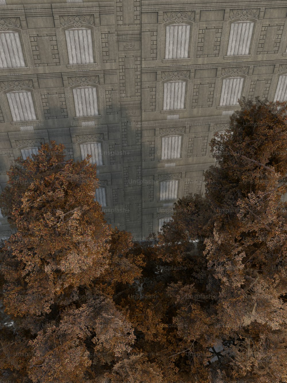 un groupe d’arbres devant un bâtiment