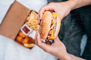 eine person, die einen cheeseburger und pommes frites hält