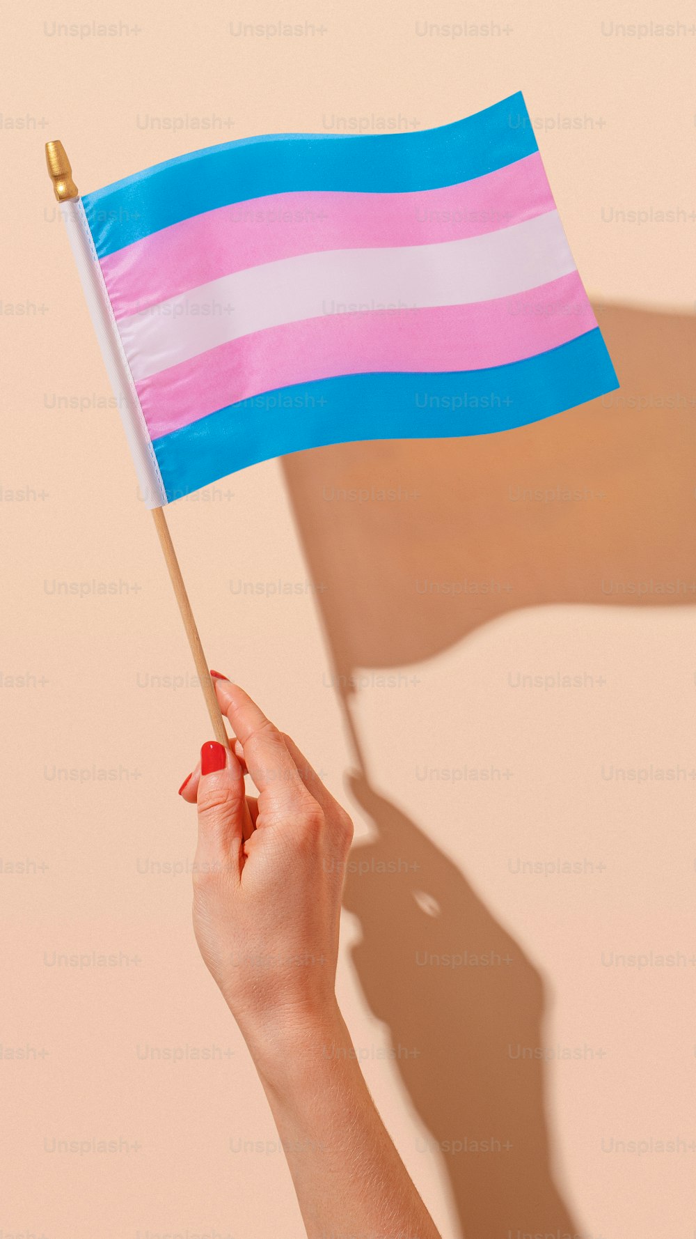 a woman holding a pink and blue flag