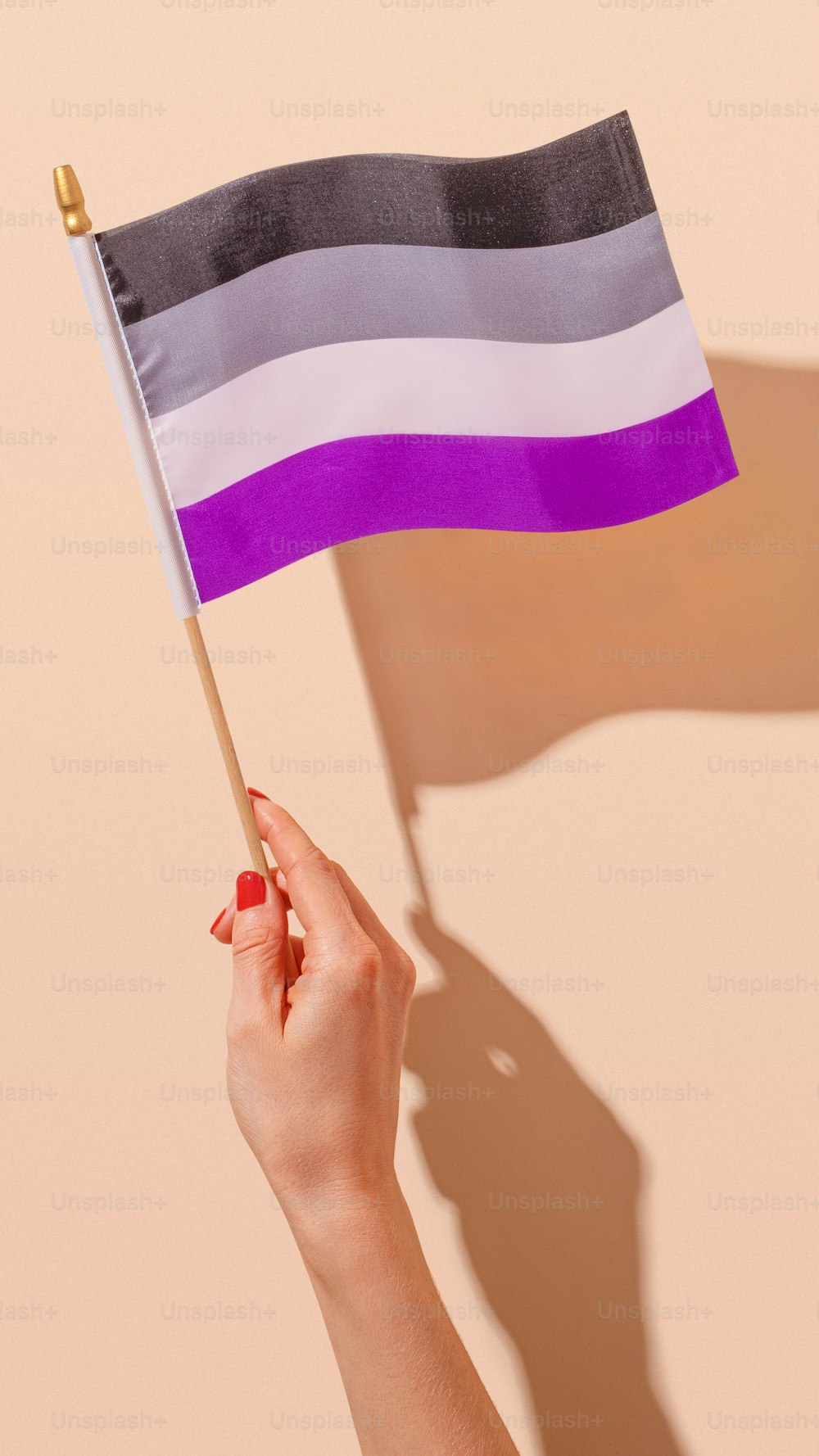 a woman holding a purple and black flag