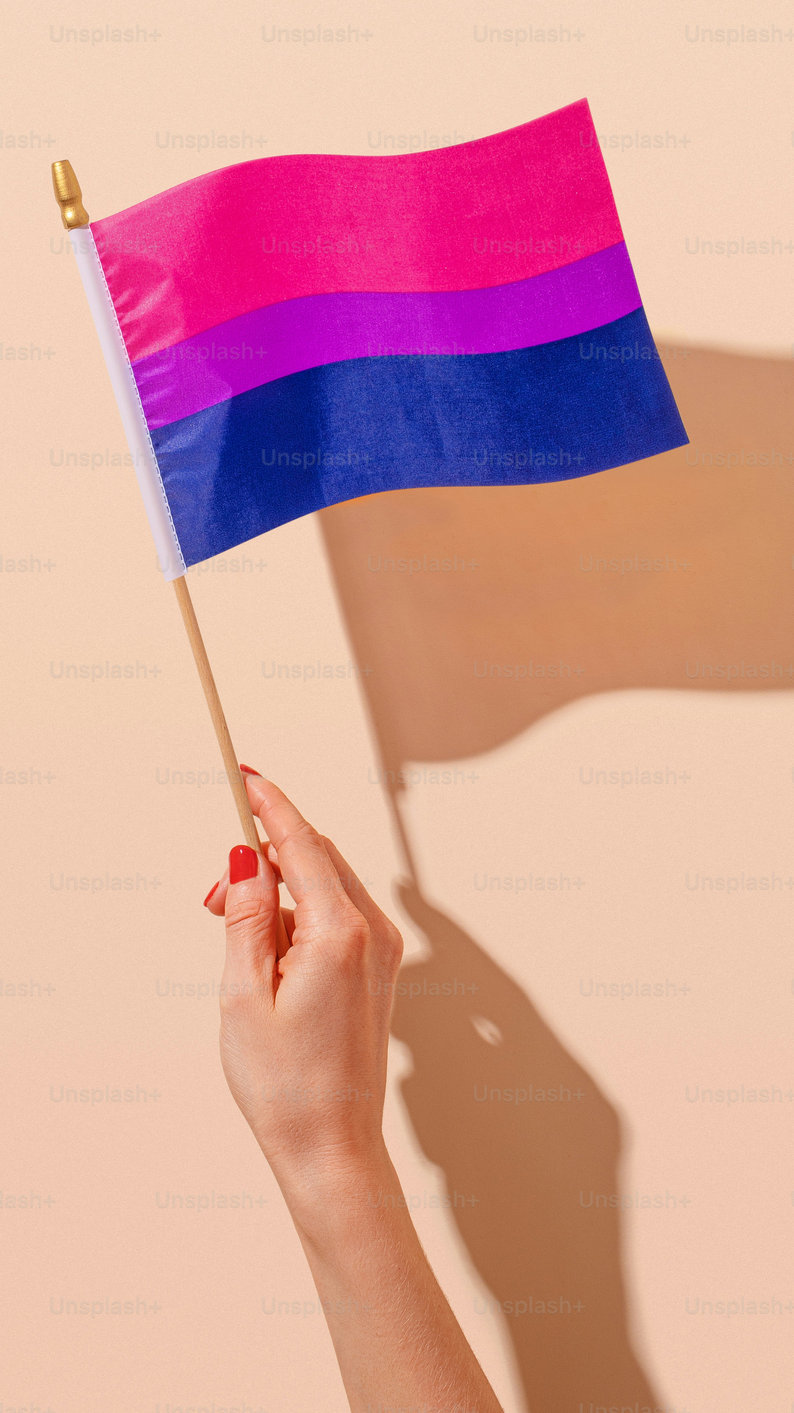 紫と青の旗を持つ女性
