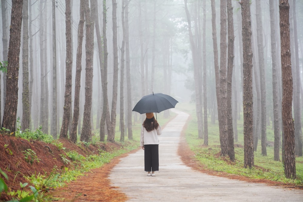 Immagine posteriore di una giovane donna con l'ombrello in piedi nei boschi di pini in un giorno nebbioso
