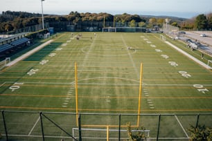 Un campo da calcio è mostrato con la linea di un portiere