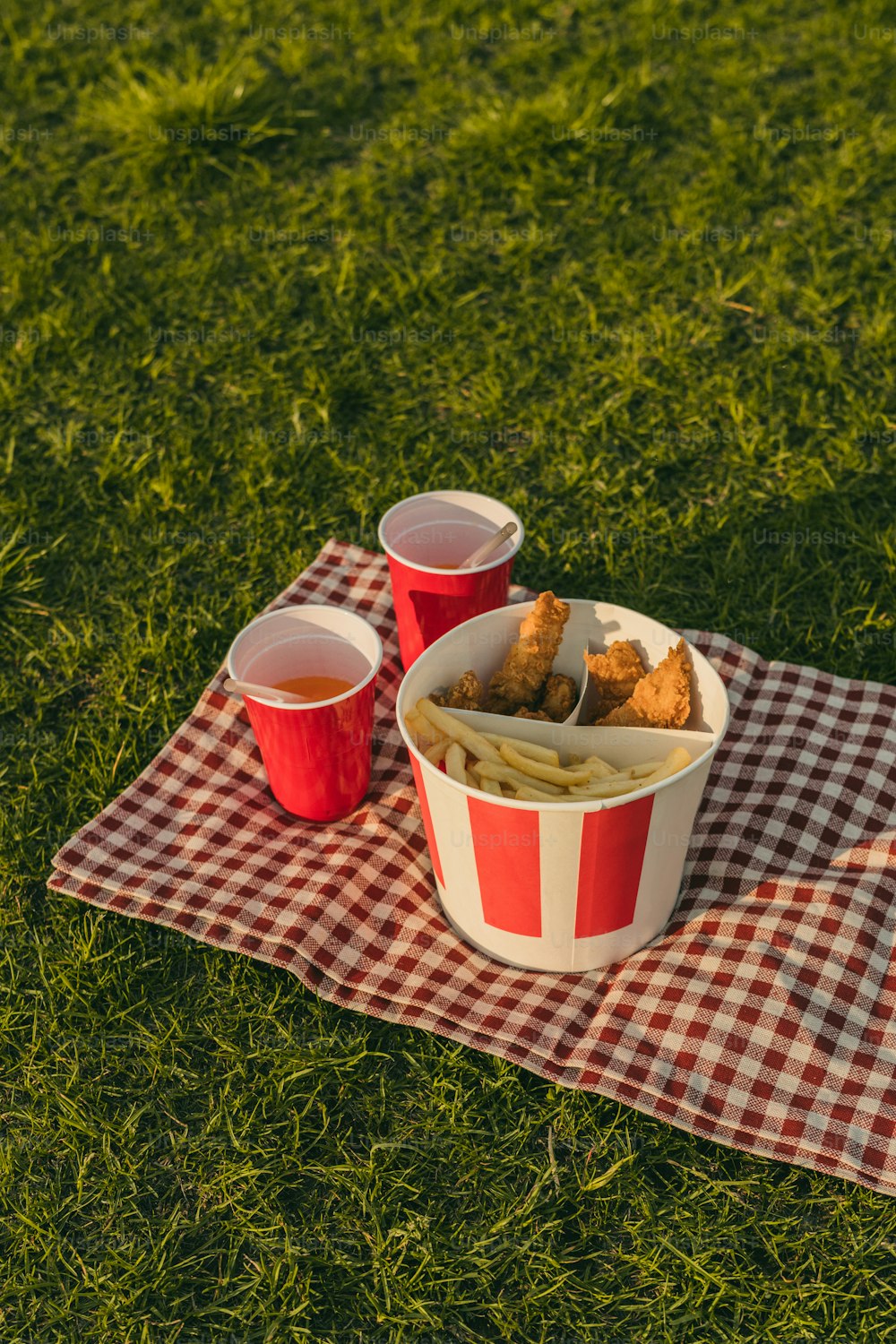 a picnic blanket with two cups of food on it