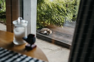 a cat is sleeping on a wooden deck