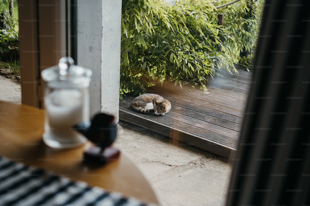 a cat is sleeping on a wooden deck