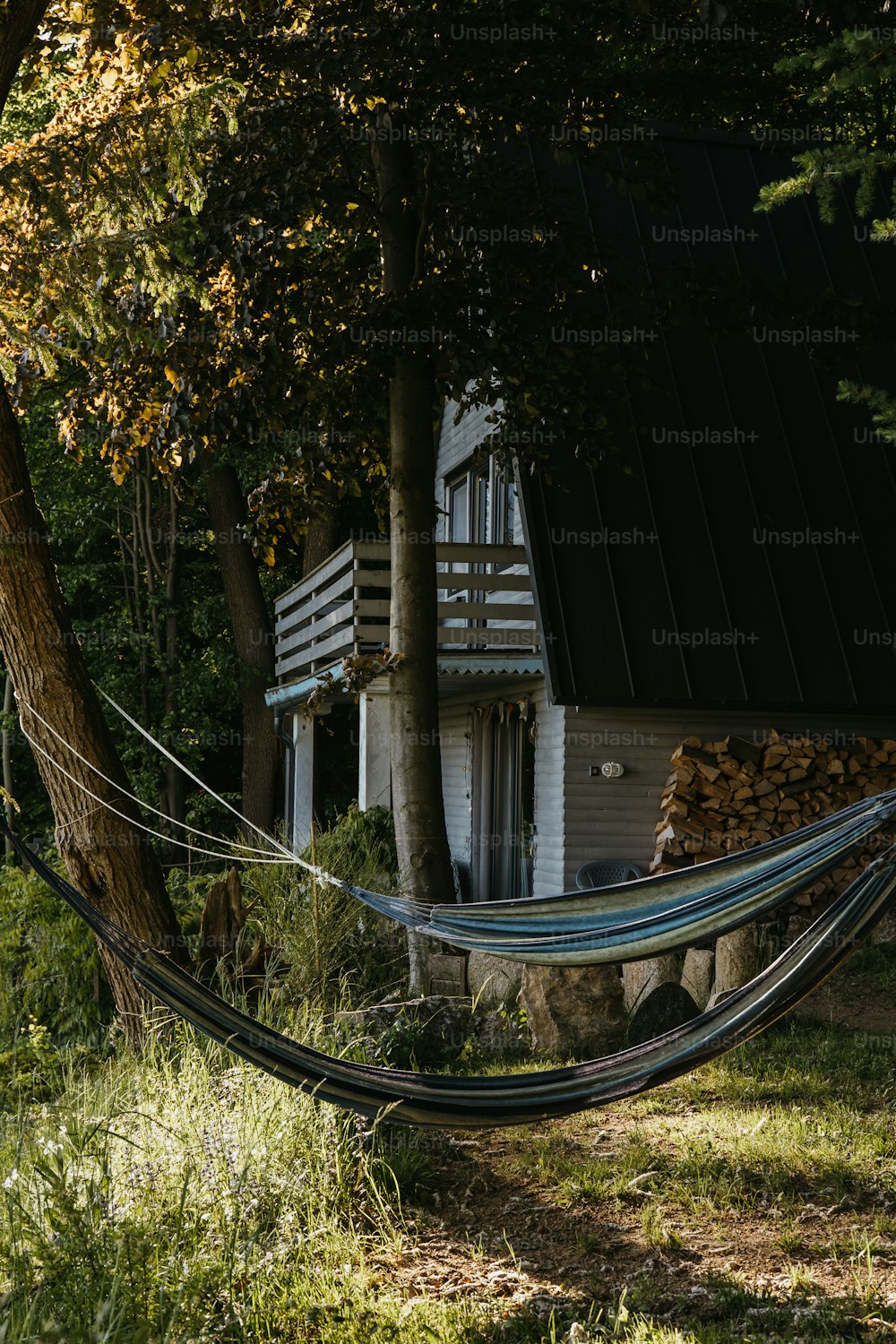 Un hamac suspendu à un arbre devant une maison