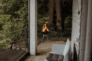 a fire burning in the middle of a forest