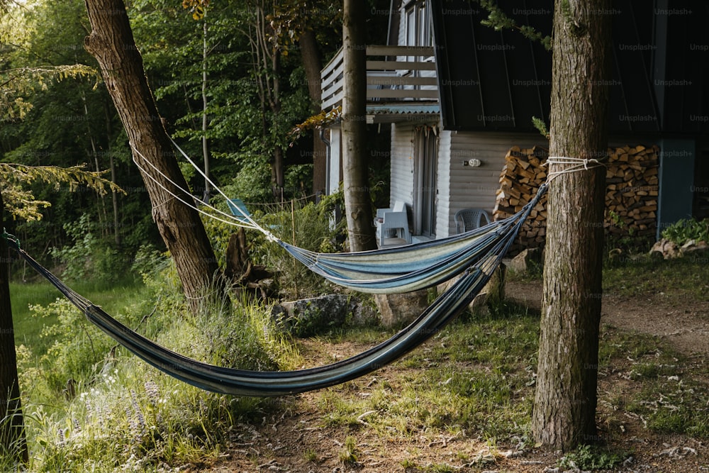 a hammock hanging between two trees in a forest