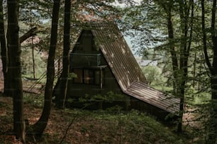 a small cabin in the woods with a metal roof