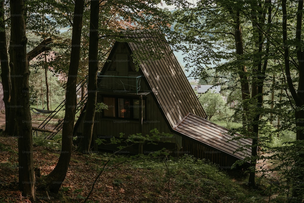 a small cabin in the woods with a metal roof