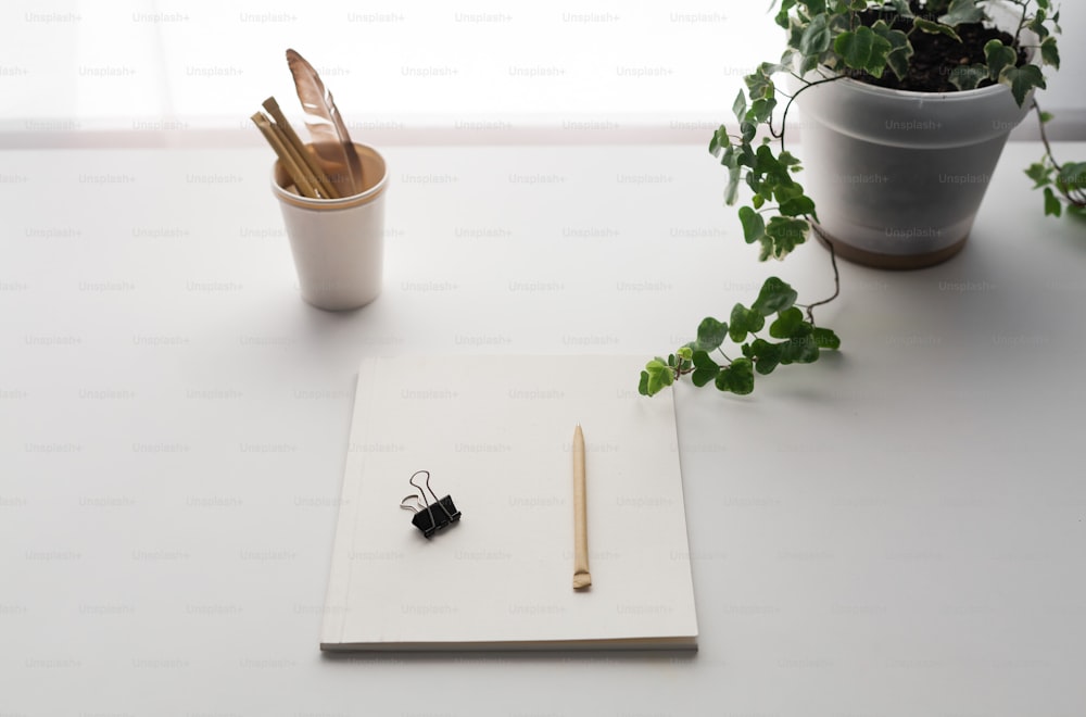 um bloco de notas, caneta, planta e uma tesoura sobre uma mesa