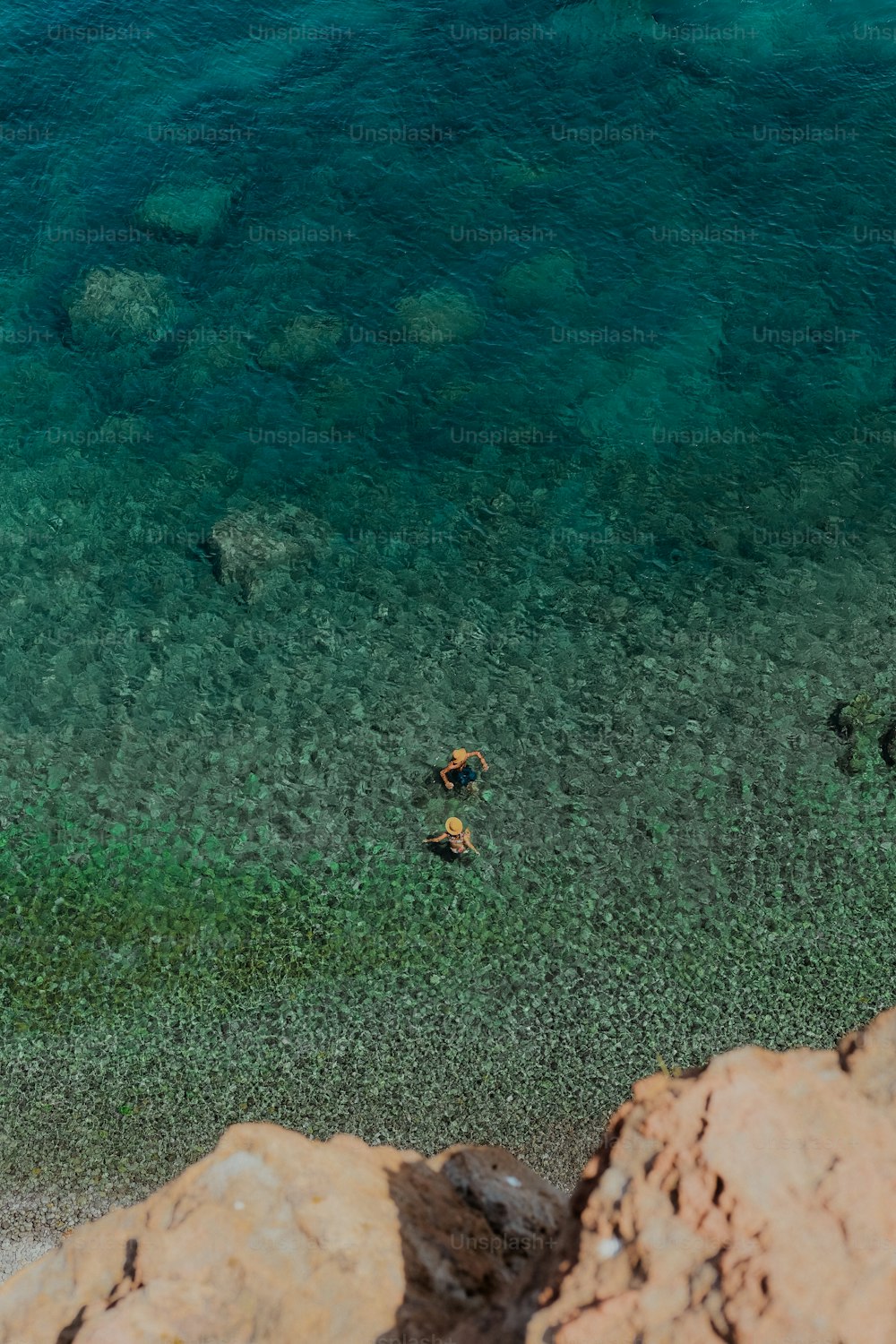 Un grupo de personas nadando en un cuerpo de agua