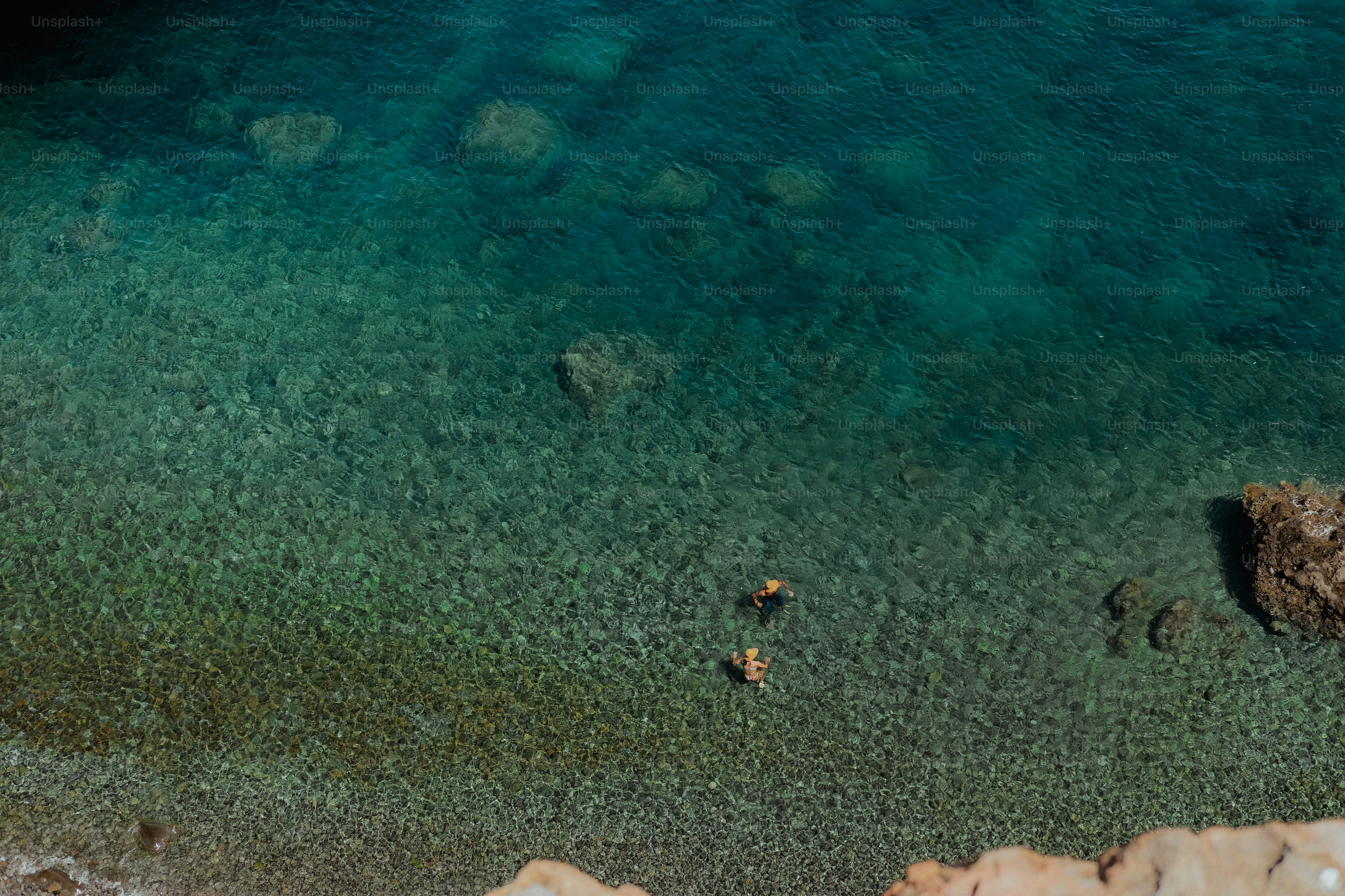 a group of people swimming in a body of water