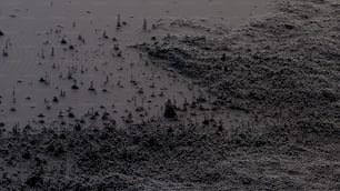 Une photo en noir et blanc de sable et d’eau