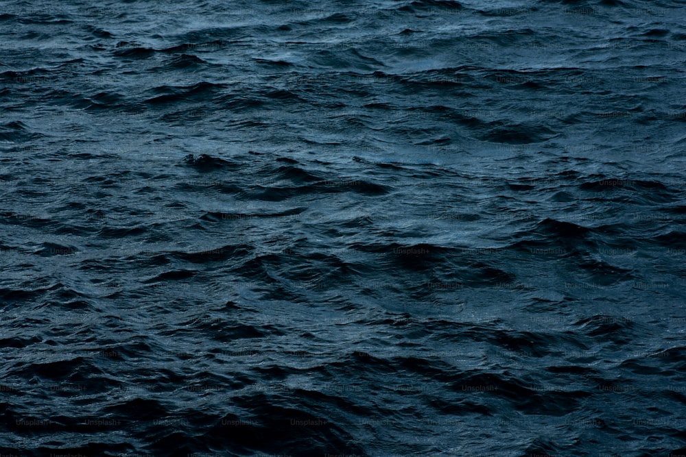 um grande corpo de água coberto de muita água azul escura