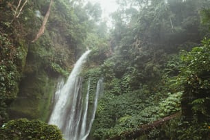 a waterfall in the middle of a jungle