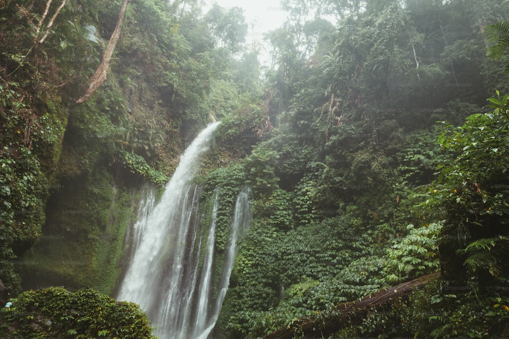 a waterfall in the middle of a jungle