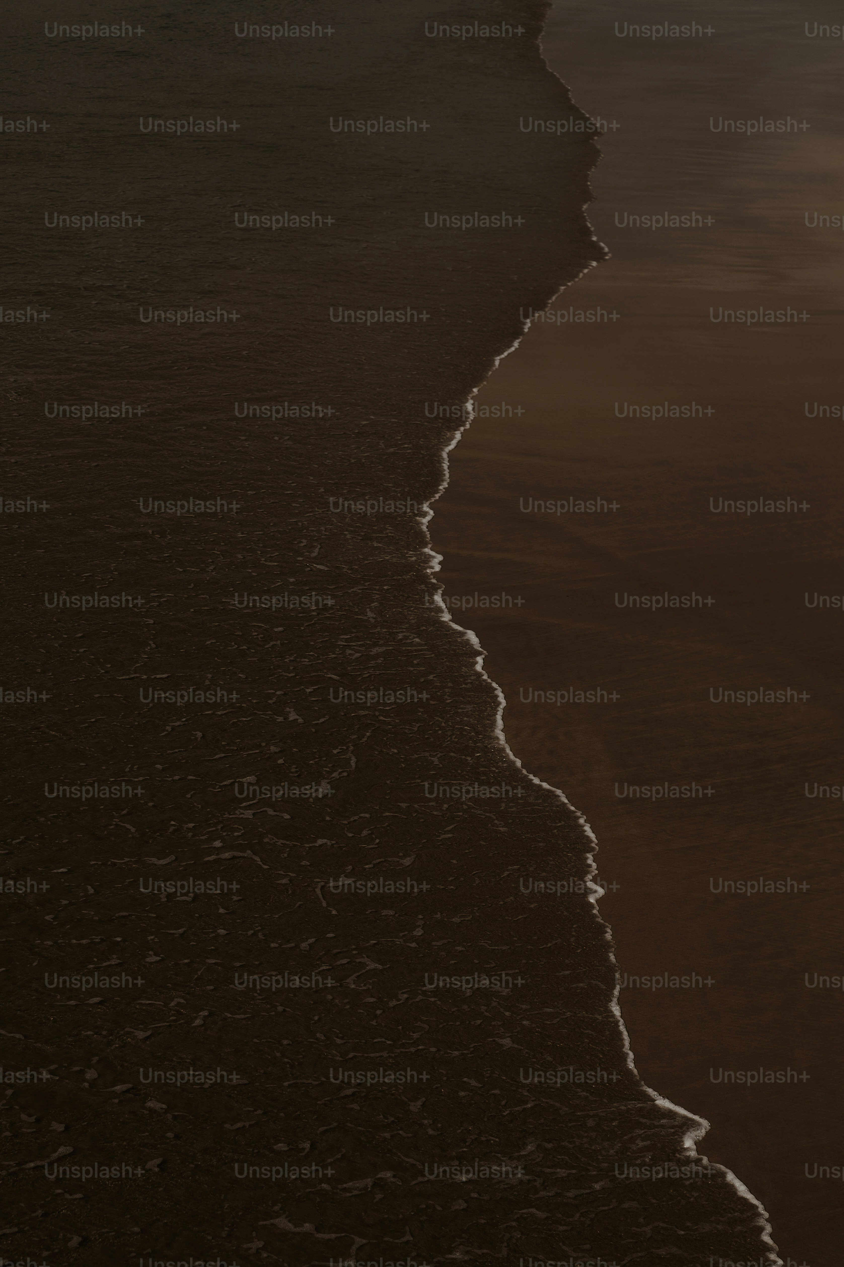 Australia Loyalty Programs Intelligence Report 2025-2029 | Market Thrives on Innovation and Technology Amid Dominance of Major Players Such as Qantas, Flybuys, and Woolworths