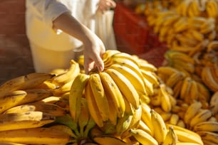 バナナの束に手を伸ばす人