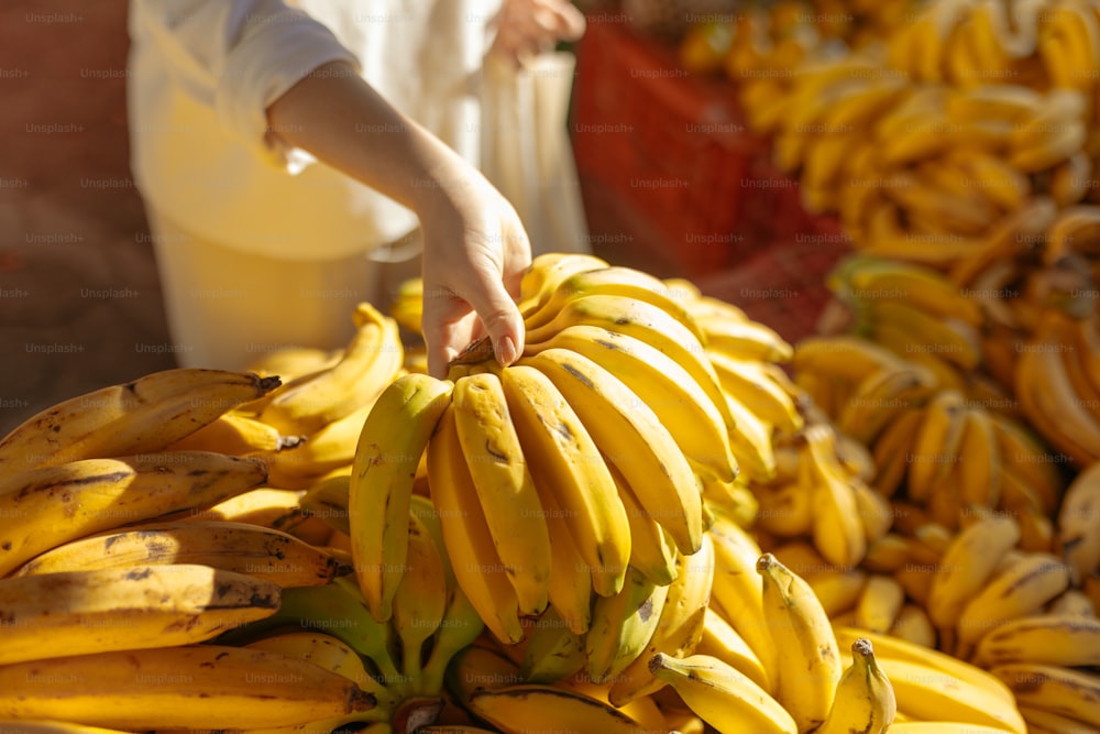 Download free photo of Banana,bunch,fruit,food,bananas - from
