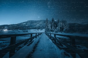 a snowy path leading to a mountain at night