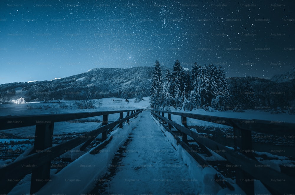 a snowy path leading to a mountain at night